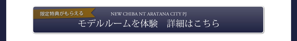 NEW CHIBA NT ARATANA PJ