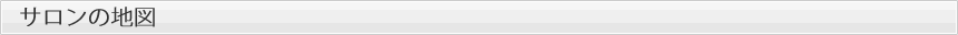サロンの地図