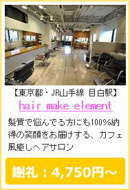 hair make element