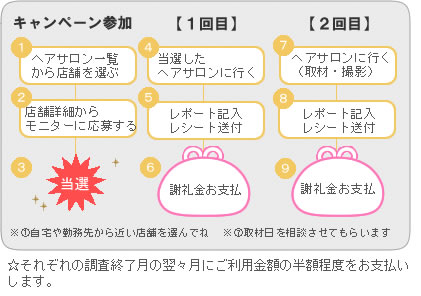 キャンペーンの流れ