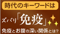 体にチカラを与える高濃度乳酸菌サプリメント【メガサンA150】